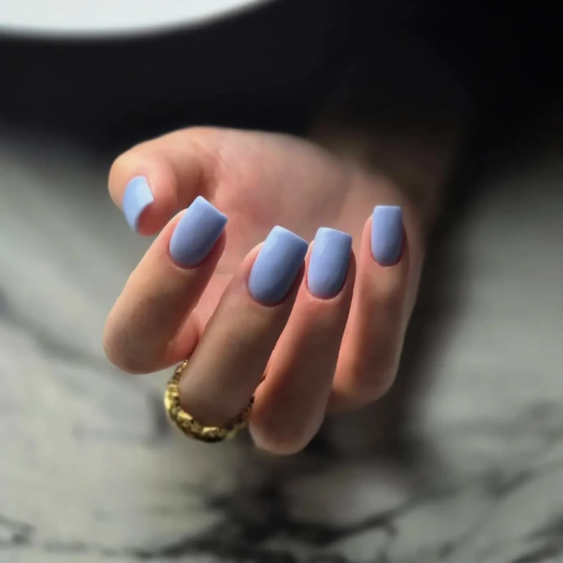 205 Puder kolorowy LART PRO Manicure Tytanowy, 28g